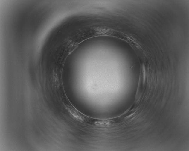 X0000054440524200508011433