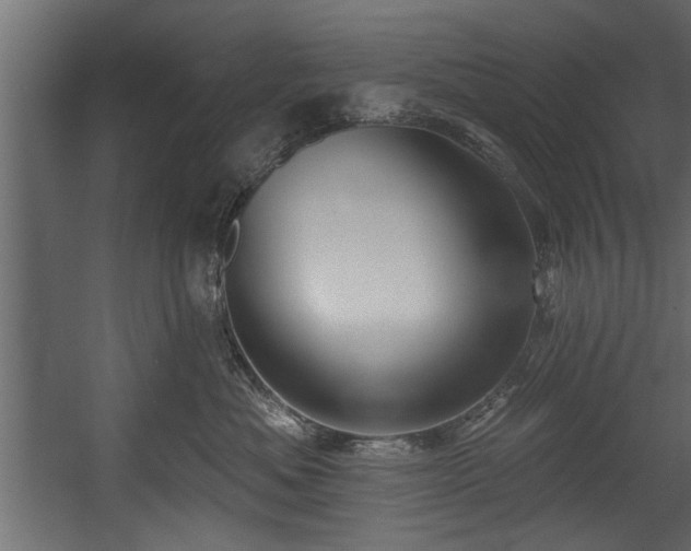 X0000054440525200508011433