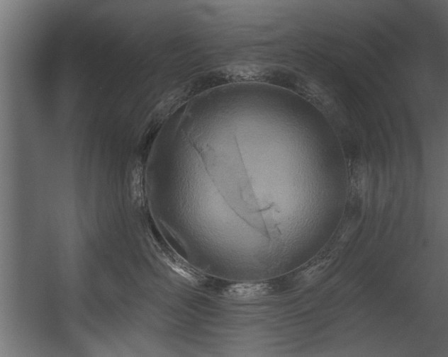 X0000054440526200508011433