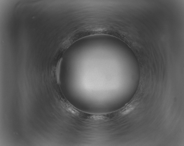 X0000054440528200508011433