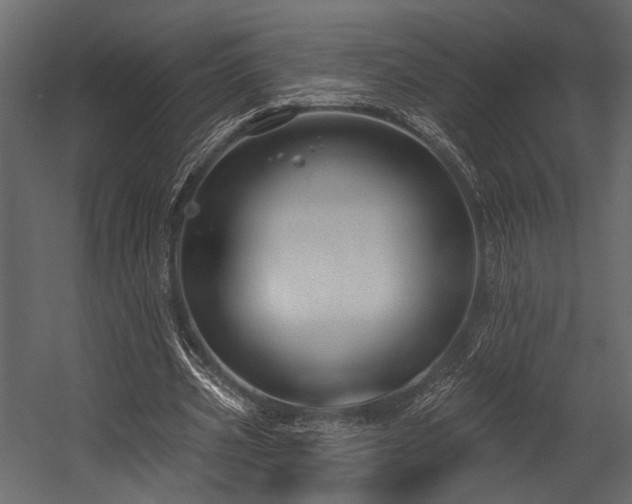 X0000054440533200508011432