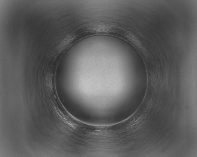 X0000054440537200508011432