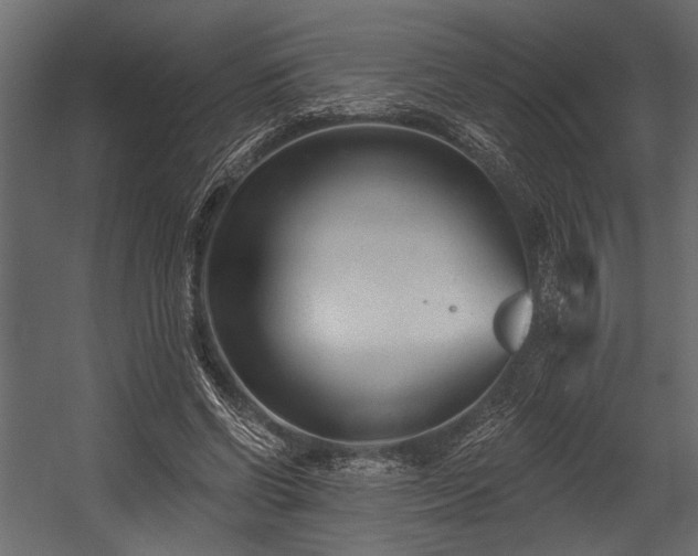 X0000054440542200508011432