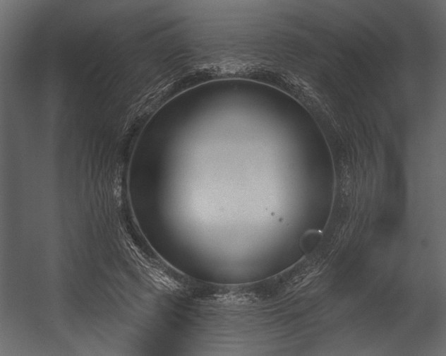 X0000054440545200508011432