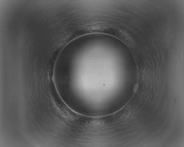 X0000054440546200508011432