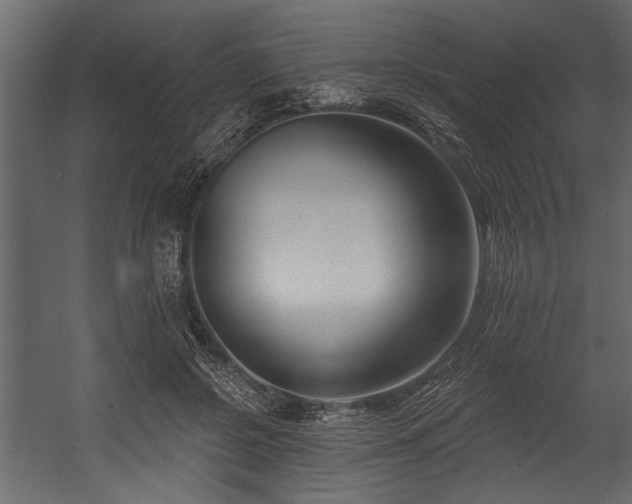 X0000054440550200508011432