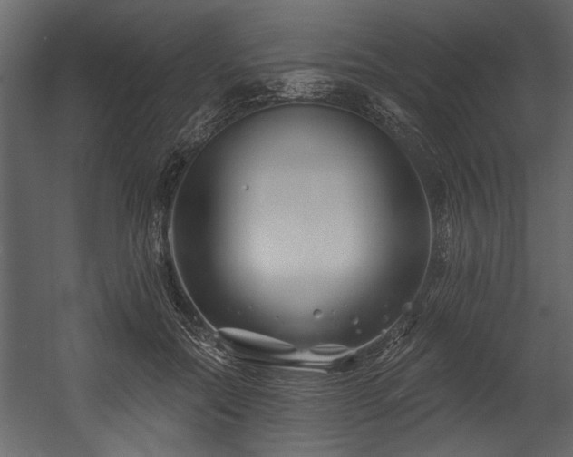 X0000054440554200508011432