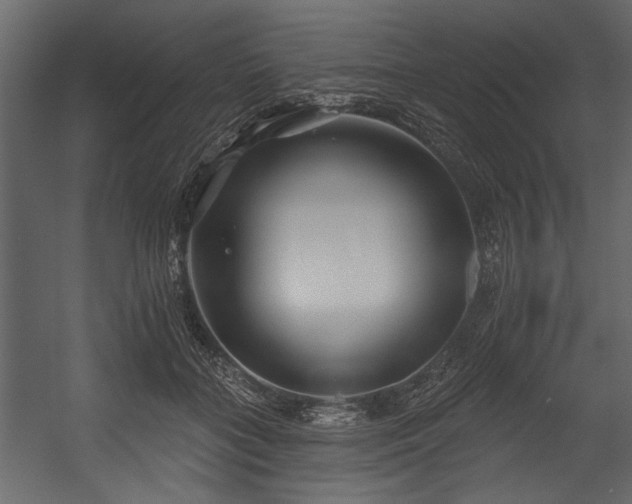 X0000054440555200508011432