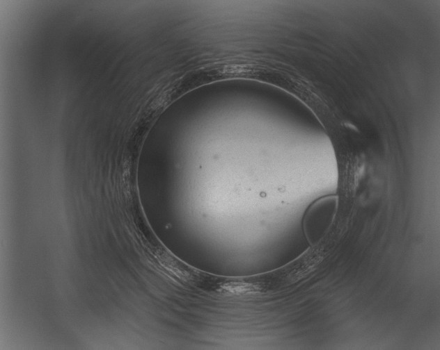 X0000054440557200508011432