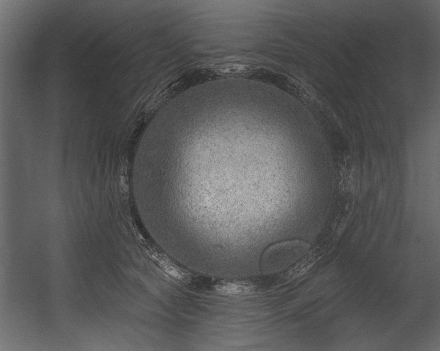 X0000054440561200508011432