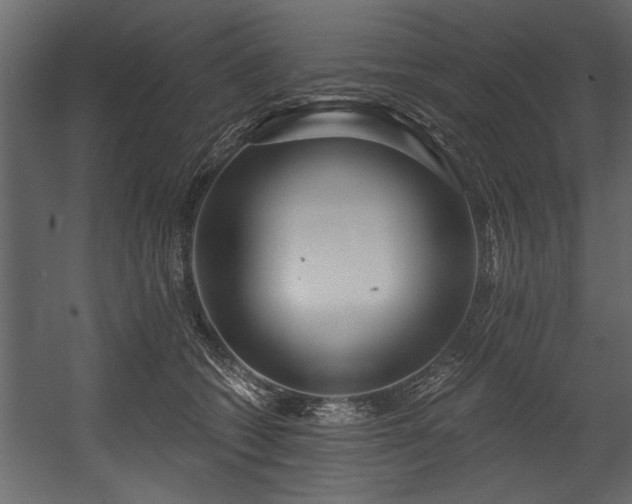 X0000054440562200508011433