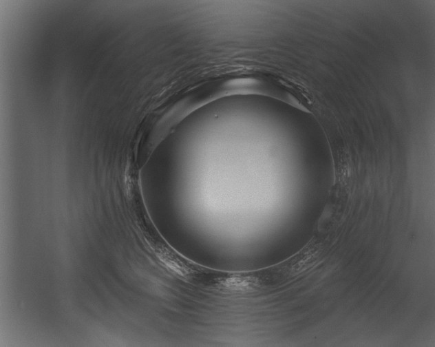 X0000054440566200508011433