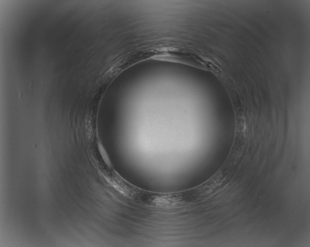 X0000054440568200508011433