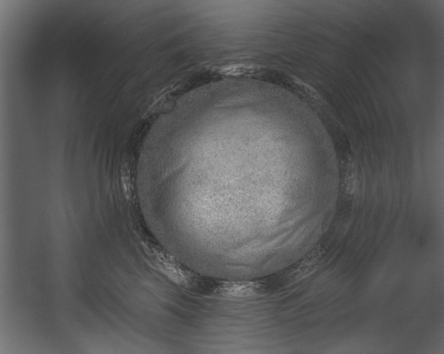 X0000054440569200508011433