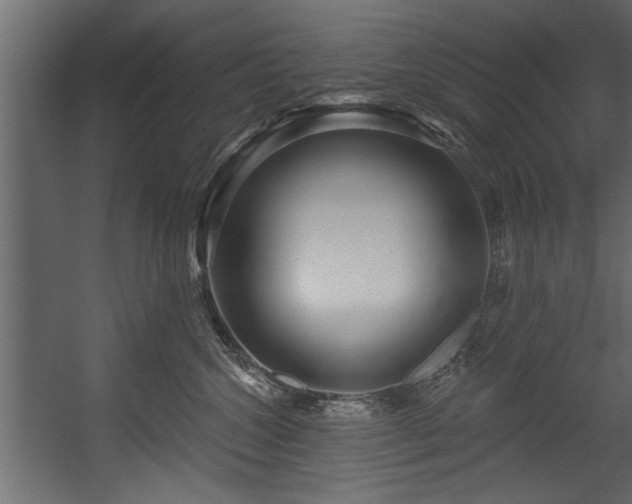 X0000054440572200508011433