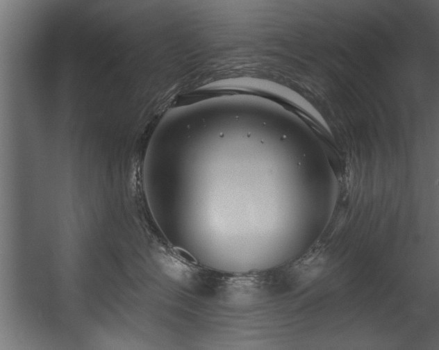 X0000054440574200508011433