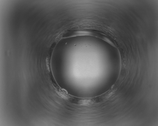 X0000054440575200508011433