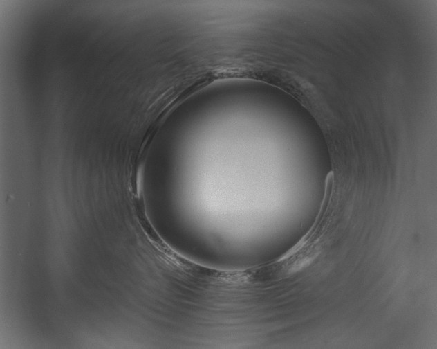 X0000054440576200508011433