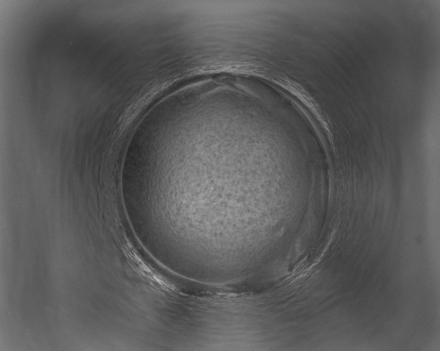 X0000054440577200508011432