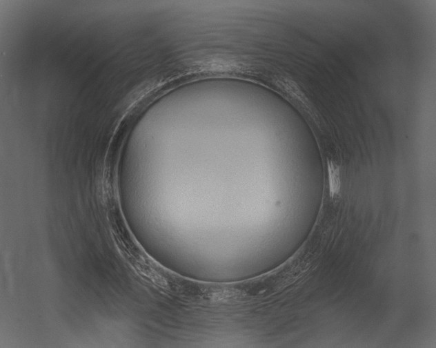 X0000054440579200508011432