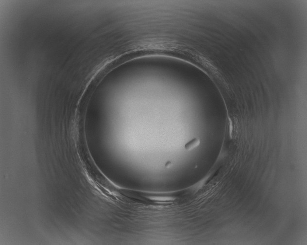 X0000054440580200508011432