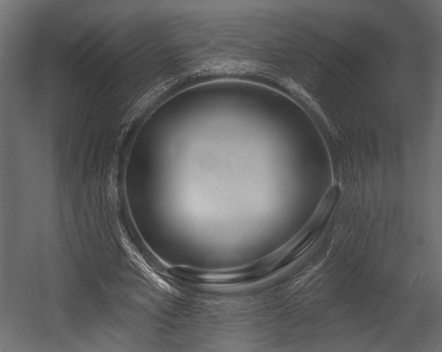 X0000054440581200508011432