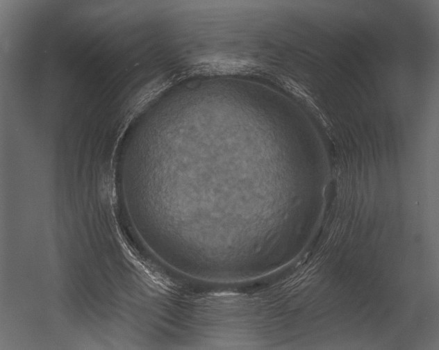 X0000054440582200508011432