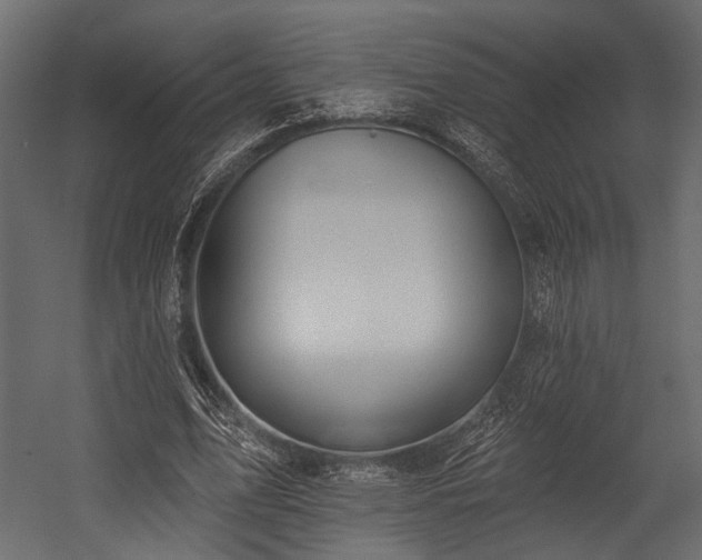 X0000054440583200508011432