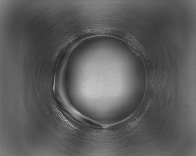 X0000054440585200508011432