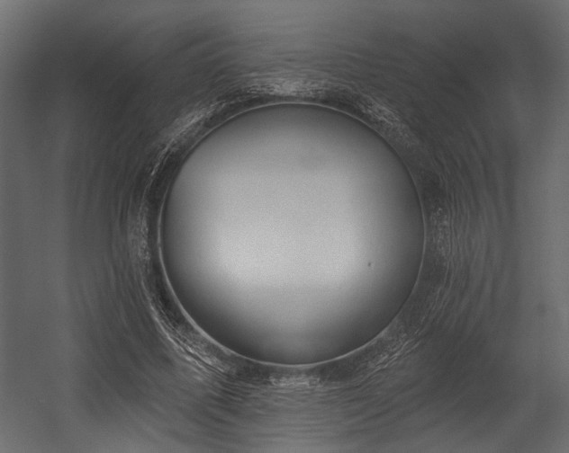 X0000054440587200508011432