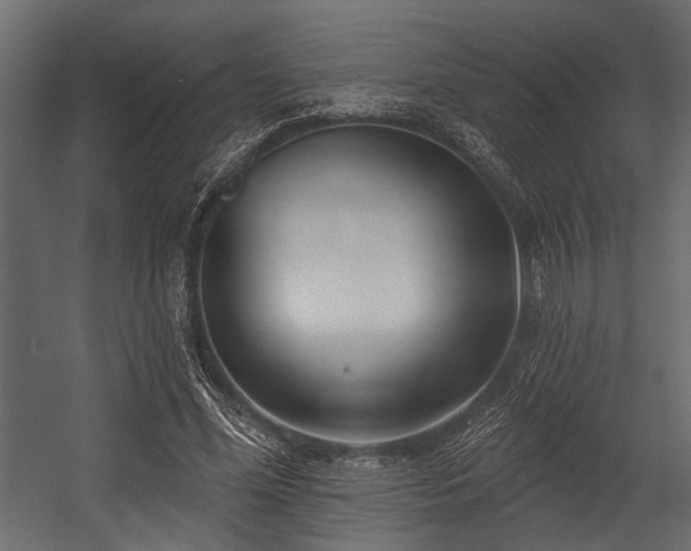 X0000054440588200508011432