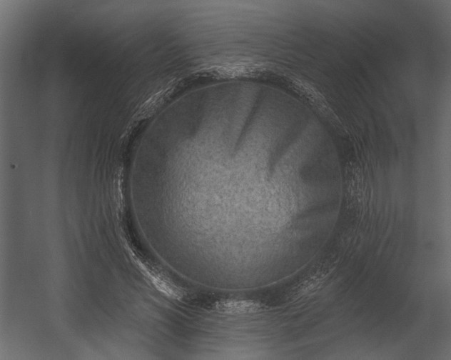 X0000054440590200508011432