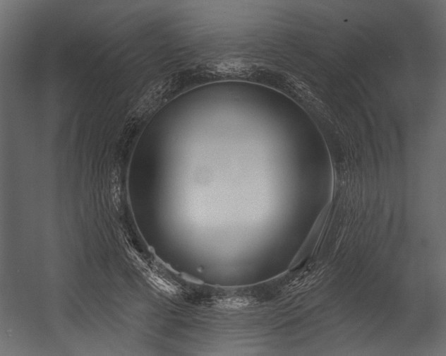 X0000054440593200508011432