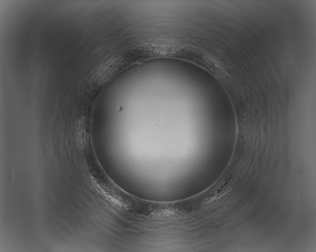 X0000054440594200508011432