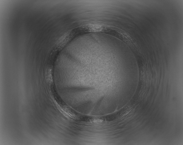 X0000054440598200508011432