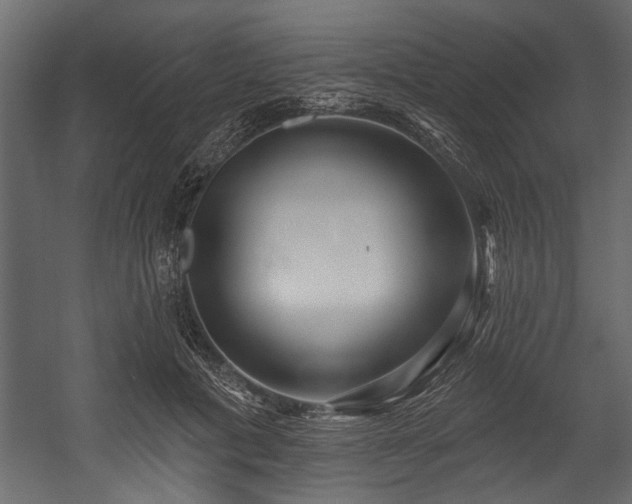 X0000054440601200508011432