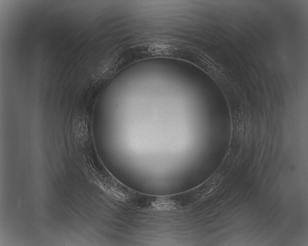 X0000054440603200508011431