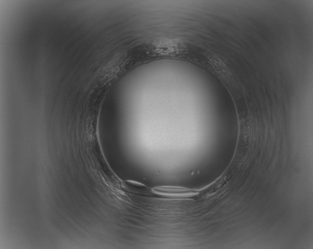 X0000054440606200508011431