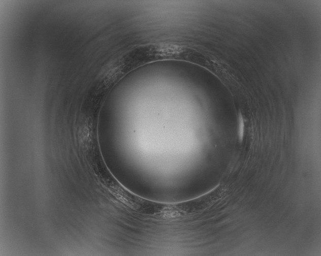 X0000054440608200508011431