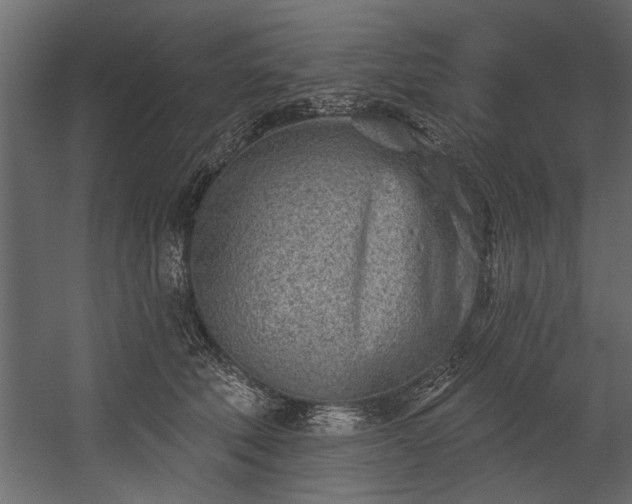 X0000054440610200508011431