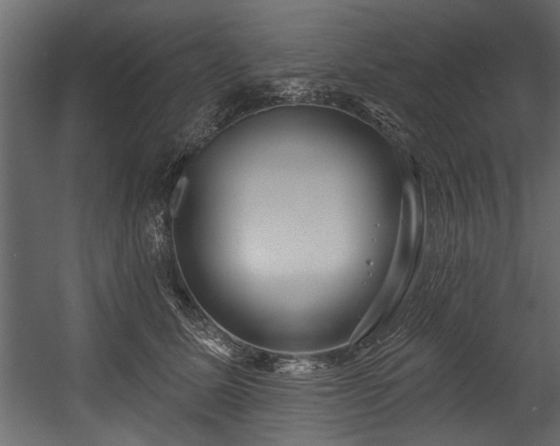 X0000054440611200508011431