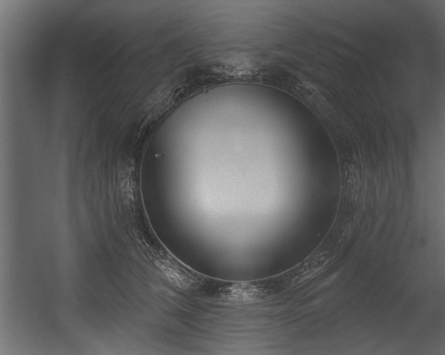 X0000054440612200508011431