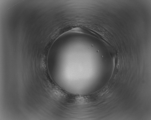 X0000054440616200508011431