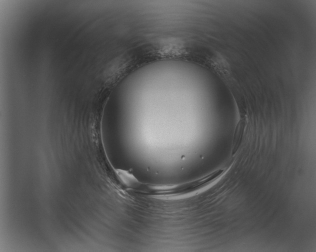 X0000054440619200508011431