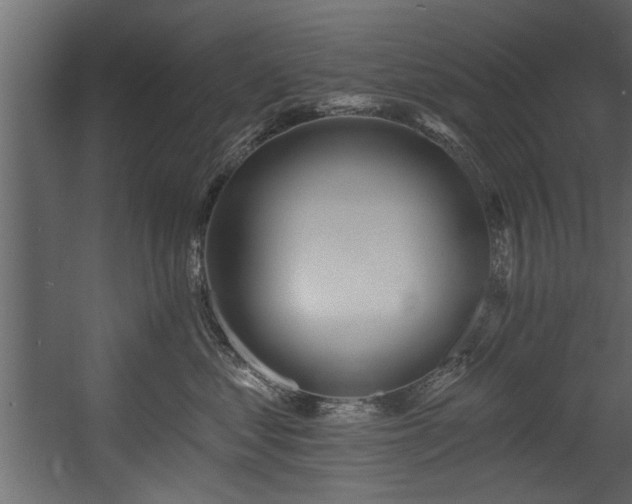 X0000054440621200508011431