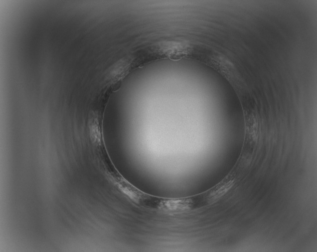 X0000054440622200508011431