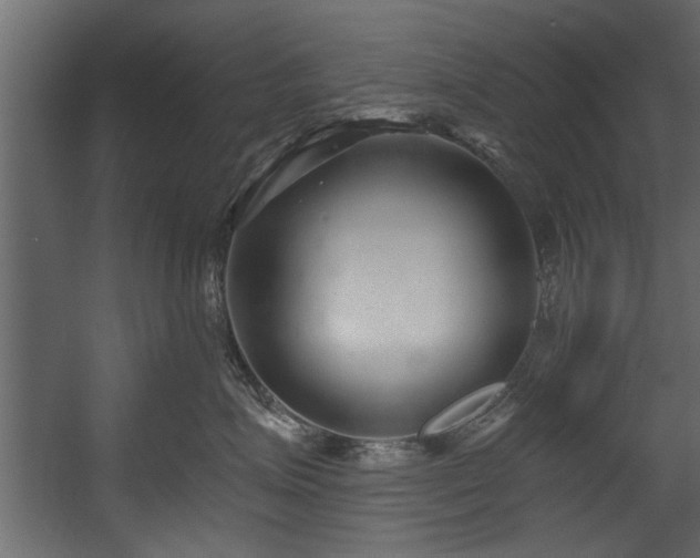 X0000054440623200508011431