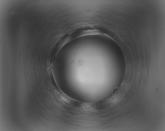 X0000054440624200508011431