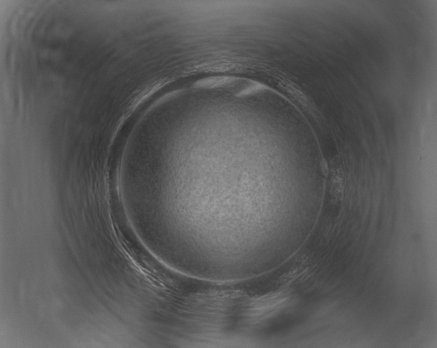 X0000054440626200508011430