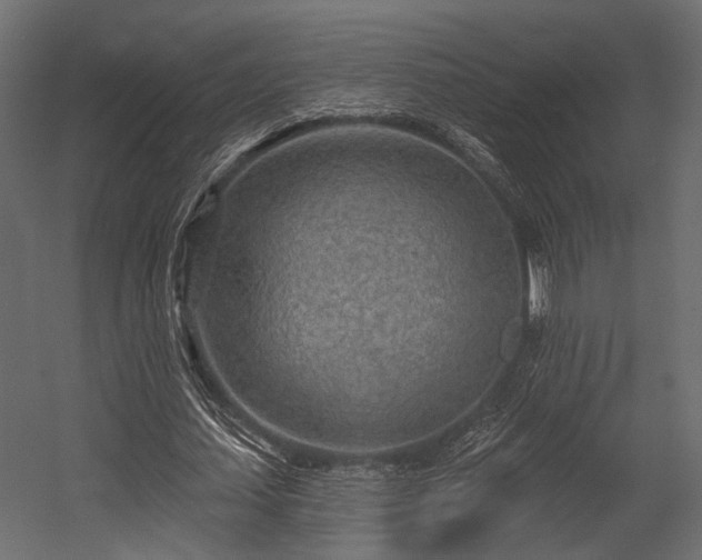 X0000054440627200508011430